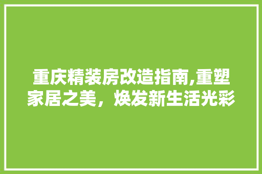 重庆精装房改造指南,重塑家居之美，焕发新生活光彩