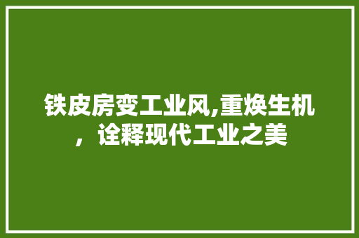 铁皮房变工业风,重焕生机，诠释现代工业之美