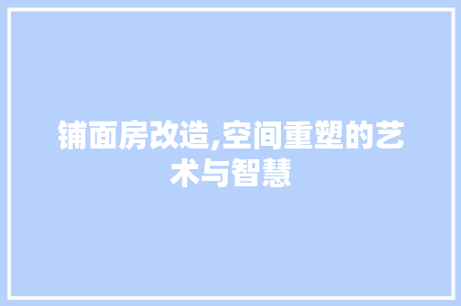 铺面房改造,空间重塑的艺术与智慧
