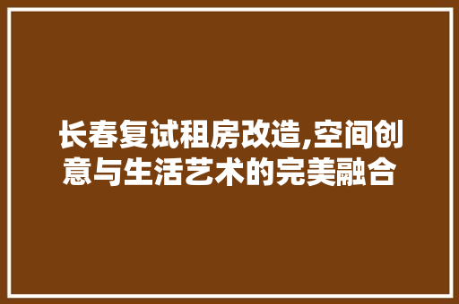 长春复试租房改造,空间创意与生活艺术的完美融合