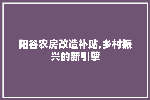 阳谷农房改造补贴,乡村振兴的新引擎