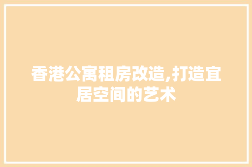 香港公寓租房改造,打造宜居空间的艺术 厨房维修