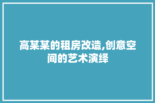 高某某的租房改造,创意空间的艺术演绎