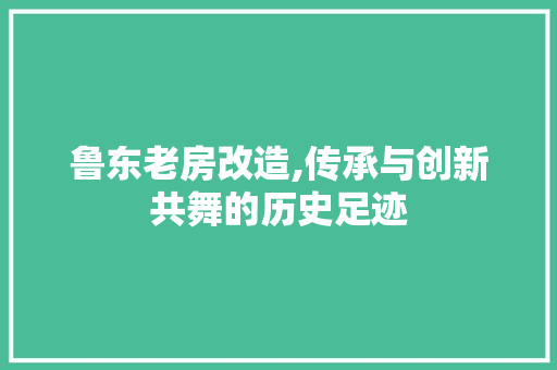 鲁东老房改造,传承与创新共舞的历史足迹