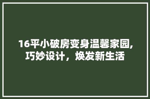 16平小破房变身温馨家园,巧妙设计，焕发新生活
