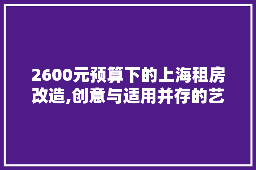 2600元预算下的上海租房改造,创意与适用并存的艺术之旅