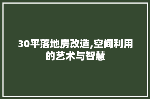30平落地房改造,空间利用的艺术与智慧