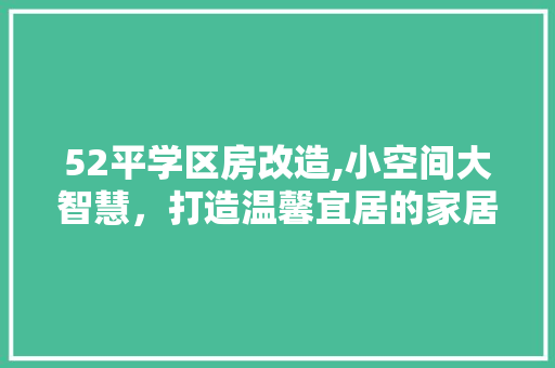 52平学区房改造,小空间大智慧，打造温馨宜居的家居环境
