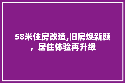 58米住房改造,旧房焕新颜，居住体验再升级 户内维修