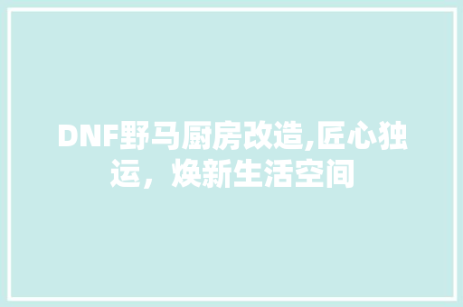 DNF野马厨房改造,匠心独运，焕新生活空间 户内维修