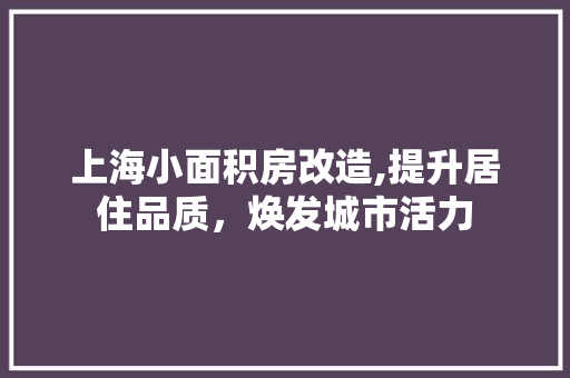 上海小面积房改造,提升居住品质，焕发城市活力 居家维修