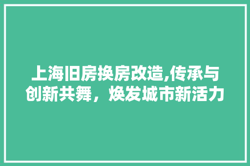 上海旧房换房改造,传承与创新共舞，焕发城市新活力
