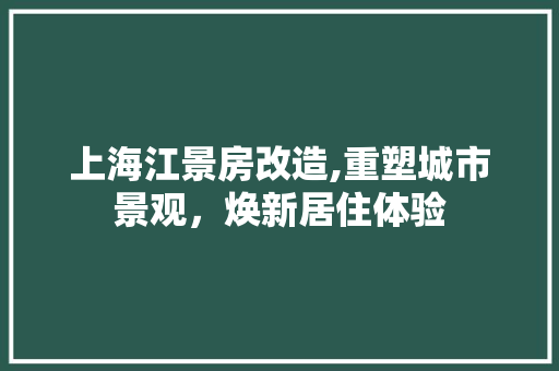 上海江景房改造,重塑城市景观，焕新居住体验