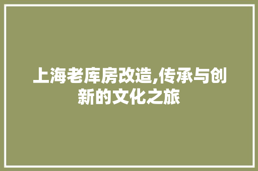 上海老库房改造,传承与创新的文化之旅