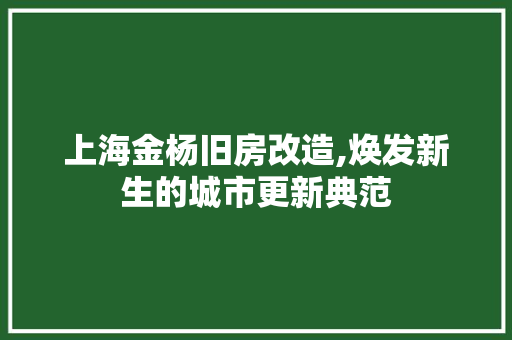 上海金杨旧房改造,焕发新生的城市更新典范