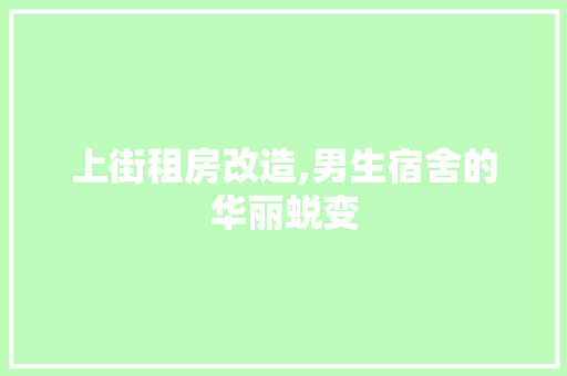 上街租房改造,男生宿舍的华丽蜕变