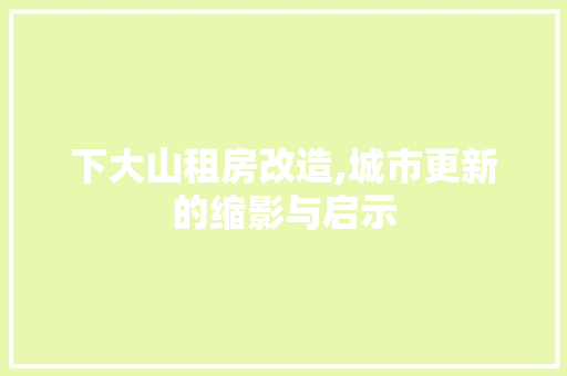 下大山租房改造,城市更新的缩影与启示