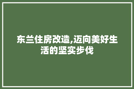 东兰住房改造,迈向美好生活的坚实步伐