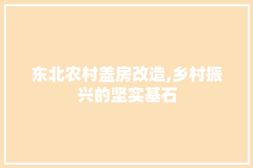 东北农村盖房改造,乡村振兴的坚实基石