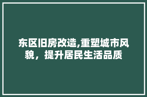 东区旧房改造,重塑城市风貌，提升居民生活品质
