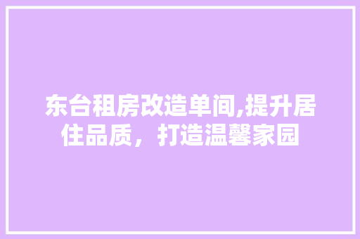 东台租房改造单间,提升居住品质，打造温馨家园