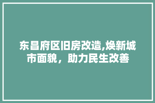东昌府区旧房改造,焕新城市面貌，助力民生改善
