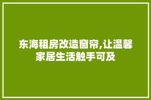 东海租房改造窗帘,让温馨家居生活触手可及