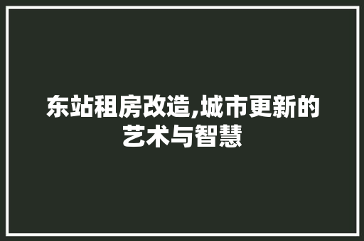 东站租房改造,城市更新的艺术与智慧