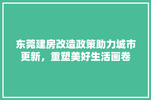 东莞建房改造政策助力城市更新，重塑美好生活画卷