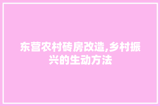 东营农村砖房改造,乡村振兴的生动方法