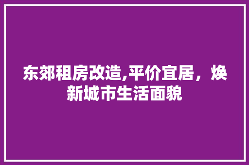 东郊租房改造,平价宜居，焕新城市生活面貌