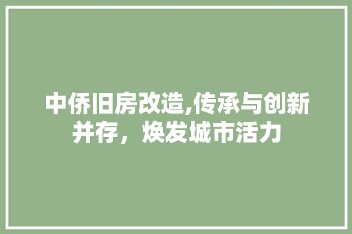 中侨旧房改造,传承与创新并存，焕发城市活力 墙体维修