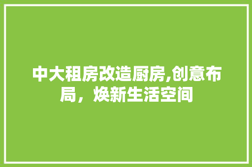 中大租房改造厨房,创意布局，焕新生活空间