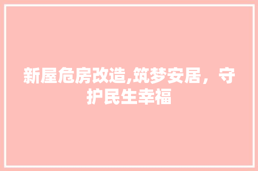 新屋危房改造,筑梦安居，守护民生幸福