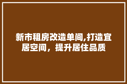 新市租房改造单间,打造宜居空间，提升居住品质