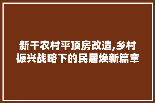 新干农村平顶房改造,乡村振兴战略下的民居焕新篇章