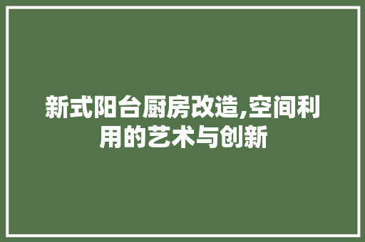 新式阳台厨房改造,空间利用的艺术与创新
