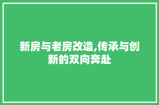 新房与老房改造,传承与创新的双向奔赴