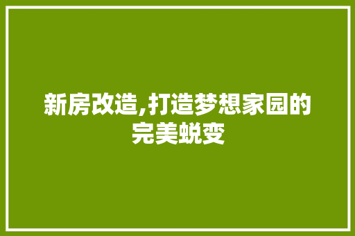新房改造,打造梦想家园的完美蜕变