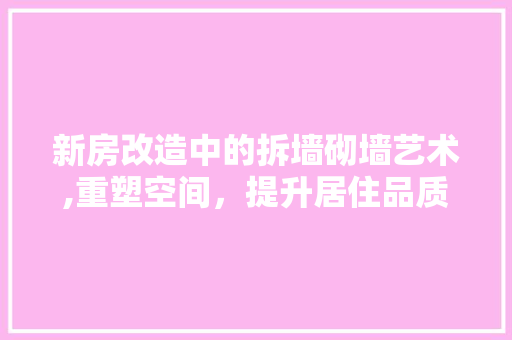 新房改造中的拆墙砌墙艺术,重塑空间，提升居住品质