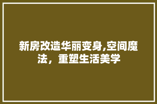 新房改造华丽变身,空间魔法，重塑生活美学
