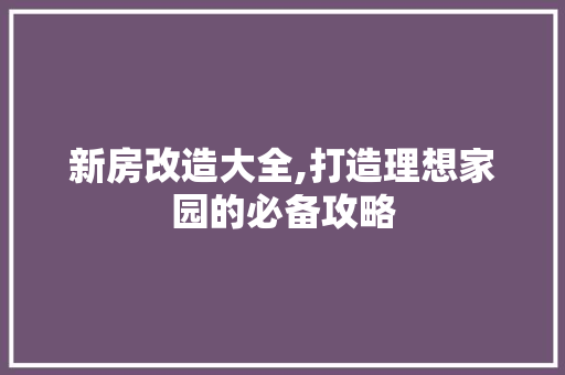 新房改造大全,打造理想家园的必备攻略