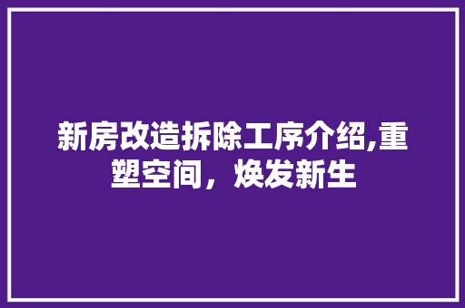 新房改造拆除工序介绍,重塑空间，焕发新生