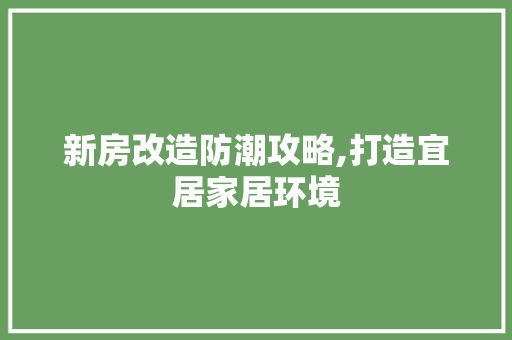 新房改造防潮攻略,打造宜居家居环境