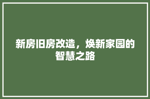 新房旧房改造，焕新家园的智慧之路