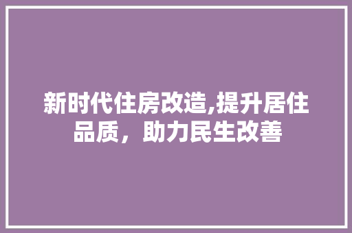 新时代住房改造,提升居住品质，助力民生改善