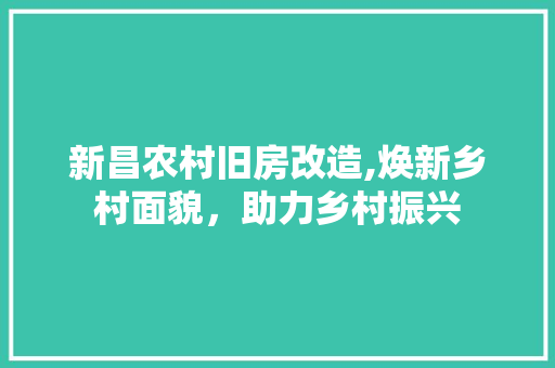 新昌农村旧房改造,焕新乡村面貌，助力乡村振兴