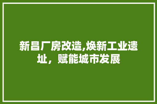 新昌厂房改造,焕新工业遗址，赋能城市发展