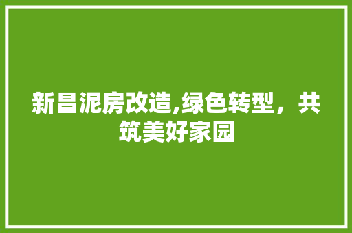 新昌泥房改造,绿色转型，共筑美好家园