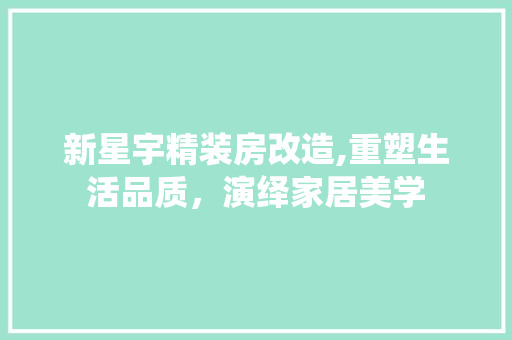 新星宇精装房改造,重塑生活品质，演绎家居美学